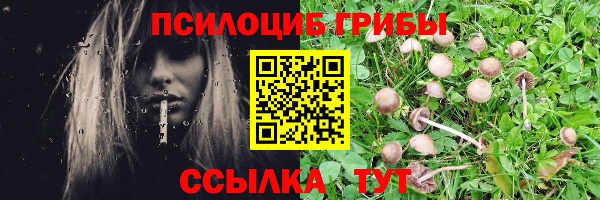 Галлюциногенные грибы MAGIC MUSHROOMS  Галлюциногенные грибы мухоморы  Вход с VPN  Кизляр 